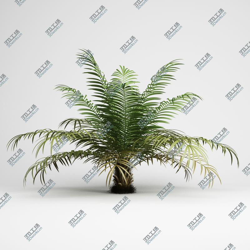 images/goods_img/20210319/CGAxis Models Volume 15 Exotic Plants/4.jpg